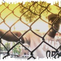 A Mafia Directed By Masar (18) A Mafia Directed By Masar (18)